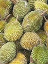 Delicious sweet taste durian fruit Royalty Free Stock Photo