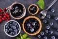 Delicious tarte filled with blueberry jam and blueberries Royalty Free Stock Photo