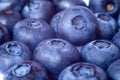 Delicious tasty blueberris Royalty Free Stock Photo