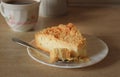 Delicious tender crumbly piece of cottage cheese pie