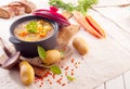 Delicious thick vegetable stew or soup Royalty Free Stock Photo