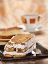 Delicious tiramisu Royalty Free Stock Photo