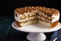 Delicious tiramisu cake on cake stand Royalty Free Stock Photo