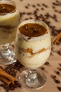 Delicious tiramisu with coffee bean and cinnamon Royalty Free Stock Photo