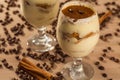 Delicious tiramisu with coffee bean and cinnamon Royalty Free Stock Photo