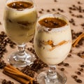 Delicious tiramisu with coffee bean and cinnamon Royalty Free Stock Photo