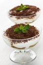 Delicious tiramisu desert Royalty Free Stock Photo