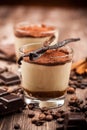 Delicious tiramisu dessert Royalty Free Stock Photo