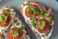 Delicious toasted bread with white cream cheese, green wild garlic and tomato on plate, close up