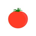 Delicious tomato icon