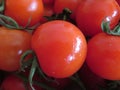 Delicious tomatoes with a good looks and incredible color