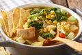 Delicious tortilla soup with chicken, greens, tomatoes, avocado Royalty Free Stock Photo