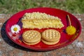 The delicious traditional Italian dessert called mimosa with biscuits on a red ceramic plate and two flowers Royalty Free Stock Photo