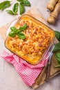 Delicious traditional italian lasagna made with minced beef bolognese sauce Royalty Free Stock Photo