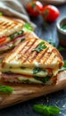 Delicious triangle sandwich with ham, cheese, tomato, and salad fresh lunch option Royalty Free Stock Photo