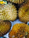 The delicious tropical durian fruit in the basket Royalty Free Stock Photo