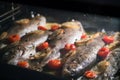 Delicious trout fish is baking in the oven