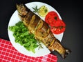 Delicious trout fish roasted