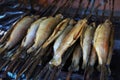 Delicious trouts on skewers roasted on a grill Royalty Free Stock Photo