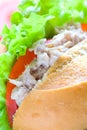 Delicious tuna and mayonnaise sandwich Royalty Free Stock Photo