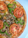 Delicious tuna pizza with onions, tomatoes and peppers Royalty Free Stock Photo