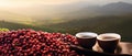 A delicious two cups of coffee on the spilled heap of coffee seeds in an outdoor blurred nature background. AI generated. Royalty Free Stock Photo