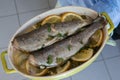 Delicious two trouts with thyme and lemon and onion slices Royalty Free Stock Photo