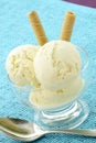 Delicious vanilla ice cream Royalty Free Stock Photo