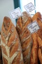 Delicious variety of fresh,crusty breads