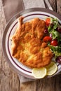 Delicious veal cutlet Milanese with lemon and fresh vegetable sa Royalty Free Stock Photo