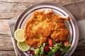 Delicious veal cutlet Milanese with lemon and fresh vegetable sa Royalty Free Stock Photo