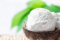 Delicious Vegan Coconut Ice Cream in Bowl on Wicker Table. Green Palm Leaves Tropical Plants Background. Plant Based Diet Royalty Free Stock Photo