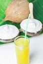 Delicious Vegan Coconut Ice Cream in Bowls on Large Green Palm Leaf Glass with Tropical Fruit Juice on White Marble Table