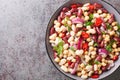 Delicious vegetable salad three beans with chili peppers and red onions close-up in a bowl. Horizontal top view Royalty Free Stock Photo