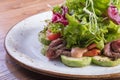 Delicious vegetable salad with tomato and olives. Royalty Free Stock Photo