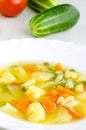 Delicious vegetable soup