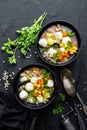 Delicious vegetable soup with chicken meatballs and pearl barley Royalty Free Stock Photo