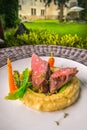 Delicious venison steak with potatoes mash and vegetables on white plate, product photography for exclusive restaurant Royalty Free Stock Photo