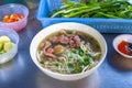 Tasty Vietnam Pho beef noodles soup served with fresh vegetables Royalty Free Stock Photo