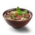 Delicious Vietnamese Pho with Beef and Noodles in a Bowl for Foodies.