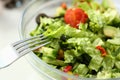 Delicious vitamin fresh salad with fresh lettuce tomatoes and cucumbers