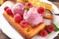 Delicious waffles with raspberries and ice cream on plate, closeup Royalty Free Stock Photo