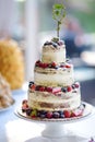 Delicious wedding cake decorated with fruits and berries Royalty Free Stock Photo