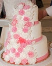 Delicious wedding cake
