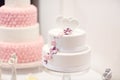 Delicious wedding cake in white , creme and pink Royalty Free Stock Photo