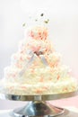 Delicious wedding cake in white , creme and pink Royalty Free Stock Photo