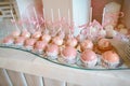 Delicious wedding reception candy bar dessert table. Catering. Buffet Party Concept