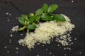 Delicious white citrus caviar on the black slate slab decorated with a green plants sprig, close-up. Outlandish Australian finger Royalty Free Stock Photo