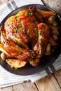 delicious whole grilled chicken with fried mushrooms and potatoes close-up on a plate. vertical