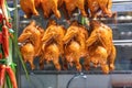 Whole roasted chickens hang in rows at Chinese restaurant`s showcase